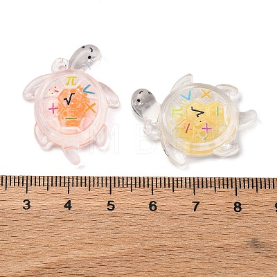 Luminous Transparent Acrylic Pendants TACR-P010-02-1