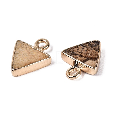 Natural Picture Jasper Pendants G-Q606-103G-04-1