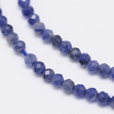 Natural Sodalite Bead Strands G-G936-2mm-19-1