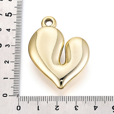 Acrylic Pendants OACR-T030-40A-1