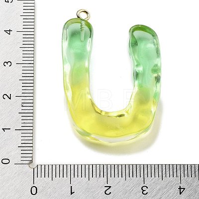 Resin Pendant FIND-Q107-01U-02-1