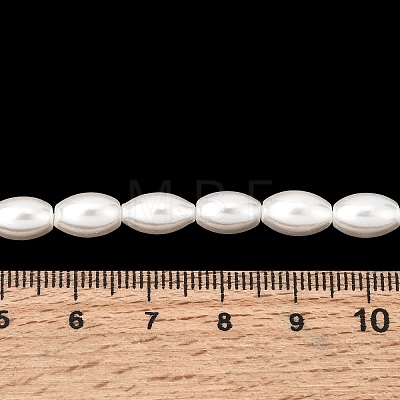 Electroplated Shell Pearl Beads Strands BSHE-C010-02-1