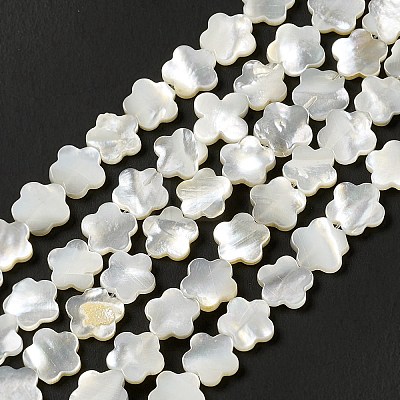 Natural White Shell Beads Strands SHEL-F003-07-1