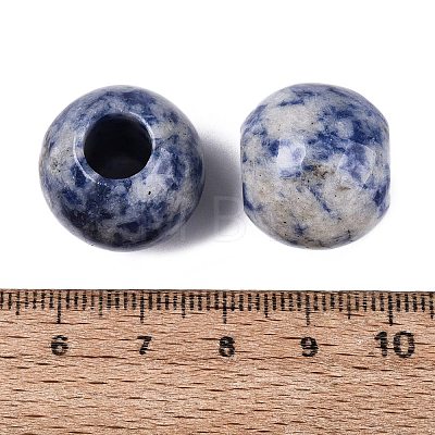 Natural Blue Spot Jasper Beads G-Q608-05H-1