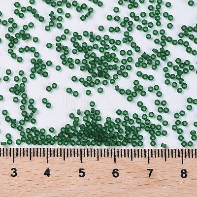 MIYUKI Round Rocailles Beads X-SEED-G009-RR0156F-1