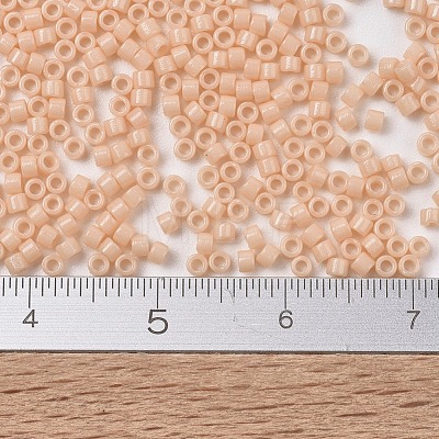 MIYUKI Delica Beads X-SEED-J020-DB2351-1