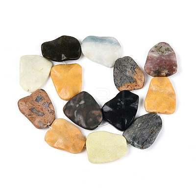 Natural Gemstone Beads Strands G-T143-20B-1