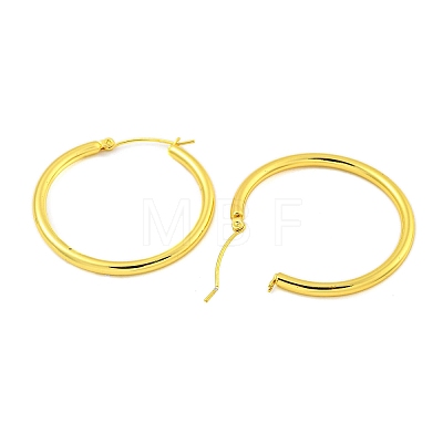 304 Stainless Steel Earrings EJEW-R161-01A-G-1