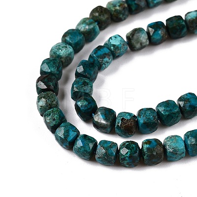 Natural Chrysocolla Beads Strands G-N342-117-1