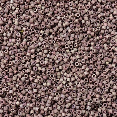 MIYUKI Delica Beads SEED-MY11-DB1061-1