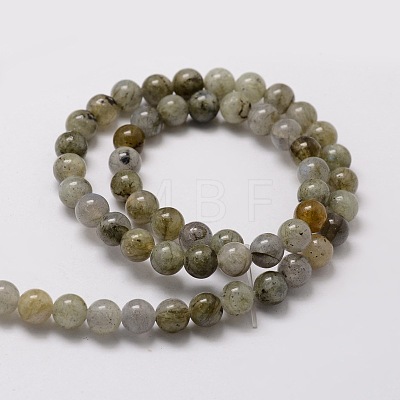 Natural Labradorite Round Beads Strands G-E329-6mm-48-1