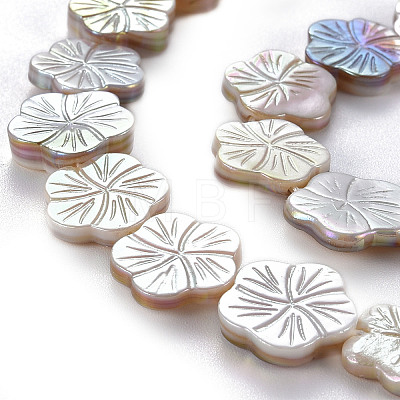 Electroplated Natural Freshwater Shell Beads Strands X-SHEL-N026-164-1