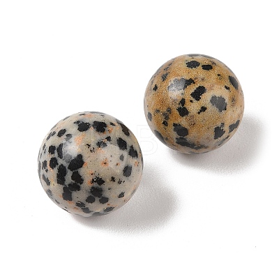 Natural Dalmatian Jasper No Hole Sphere Beads G-K353-04D-16-1