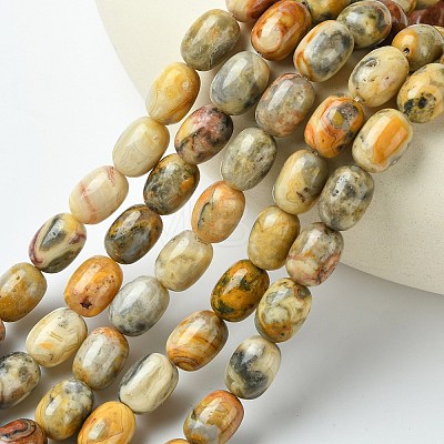 Barrel Shaped Gemstone Natural Crazy Lace Agate Beads Strands G-S114-08-1