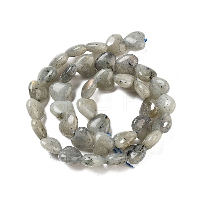 Natural Labradorite Beads Strands G-B022-32C-1