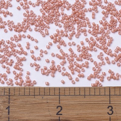 MIYUKI Delica Beads X-SEED-J020-DB1363-1