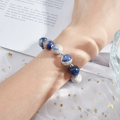 Natural Sodalite Round Beads Strands G-OC0001-91-1