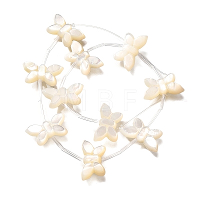 Natural White Shell Beads BSHE-Z008-02-1