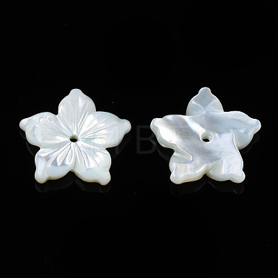 Natural White Shell Beads SSHEL-N027-131A-01-1