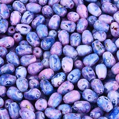 Picasso Glass Seed Beads SEED-N012-10F-1