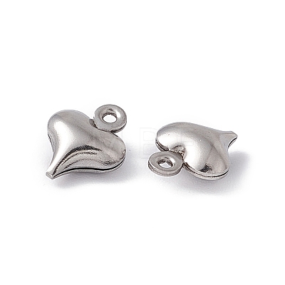 304 Stainless Steel Charms STAS-G291-14P-1