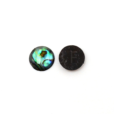 Paua Shell Cabochons SHEL-WH0001-002B-1