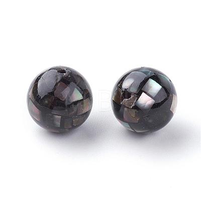 Natural Black Lip Shell Beads SSHEL-Q298-12mm-10-1