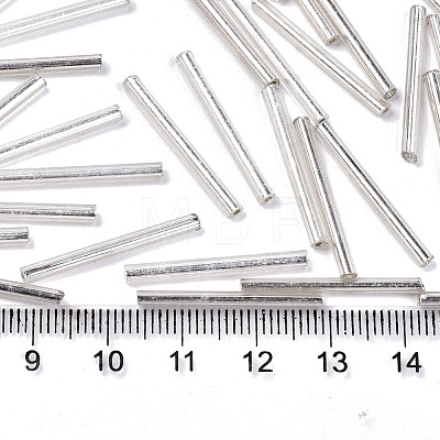 Electroplate Glass Bugle Beads SEED-S043-02B-02-1