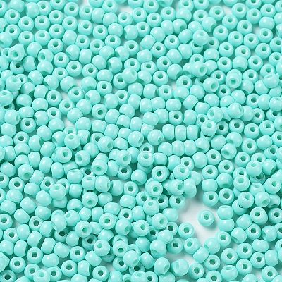 Baking Paint Glass Seed Beads SEED-H002-I-A525-1