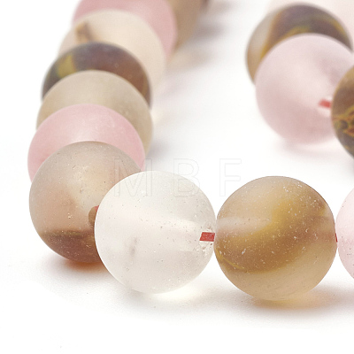 Tigerskin Glass Beads Strands G-T106-259-1