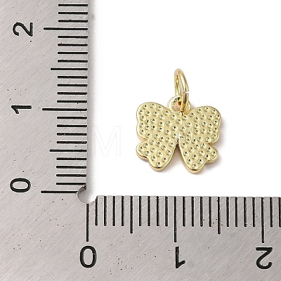 Rack Plating Brass Enamel Charms KK-B092-13G-01-1