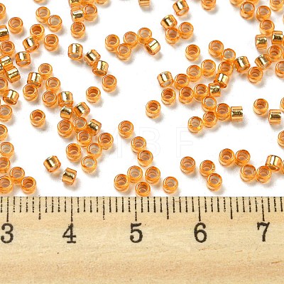 Glass Seed Beads X1-SEED-S042-04A-11-1