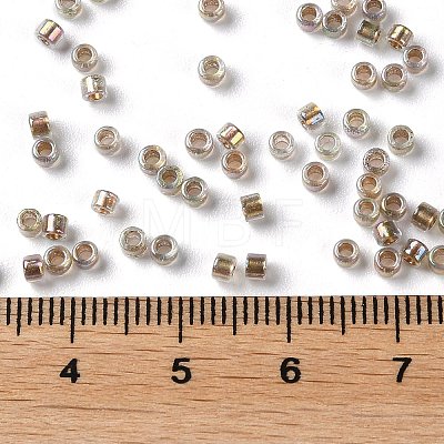 Glass Seed Beads X-SEED-S042-13A-16-1