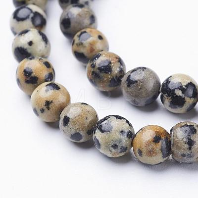 Natural Dalmatian Jasper Beads Strands X-GSR6mmC004-1