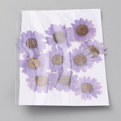 Pressed Dried Flowers DIY-WH0308-412C-1-1