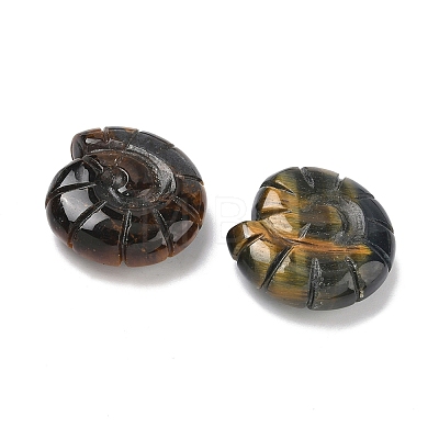 Natural Tiger Eye Conch Display Decorations DJEW-D303-01A-1