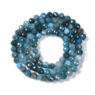 Natural Apatite Beads Strands G-N342-34-1