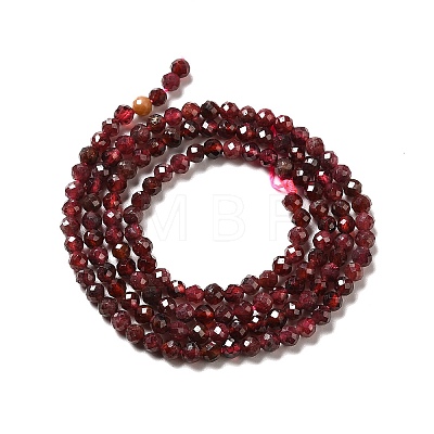 Natural Garnet Beads Strands G-I341-09B-1