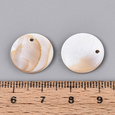 Natural Freshwater Shell Disc Charms BSHE-T014-42A-1