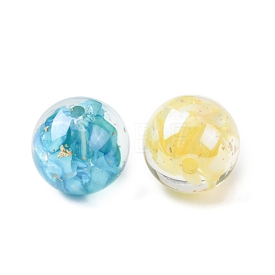 Transparent Resin & Natural Shell Beads RESI-B039-07-1