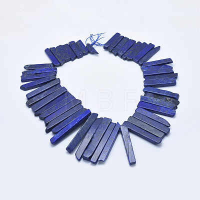 Natural Lapis Lazuli Beads Strands G-E446-06-1