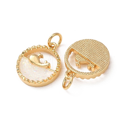 Brass Resin Pendants RE-H001-01G-01-1