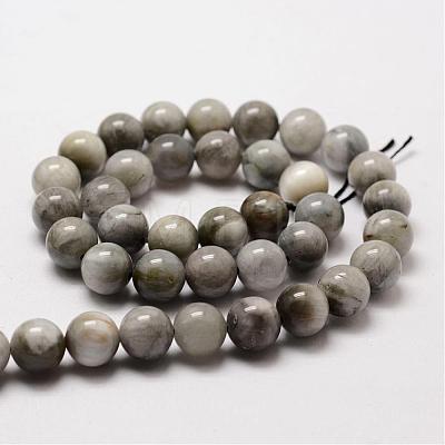 Natural Hawk's Eye Round Beads Strands G-O143-01-10mm-1