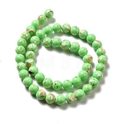 Synthetic Turquoise and Sea Shell Assembled Beads Strands G-D482-01A-02-1