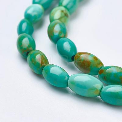 Natural Magnesite Beads Strands TURQ-K003-01A-1