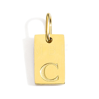 304 Stainless Steel Pendants STAS-Z143-01G-C-1