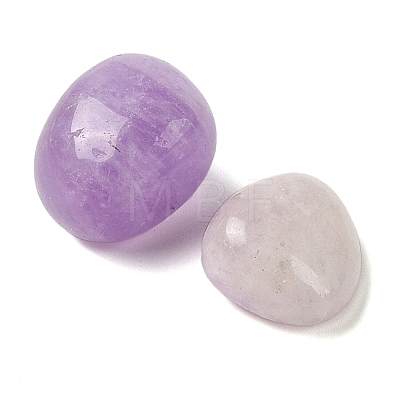 Natural Amethyst Beads G-Z062-09B-1