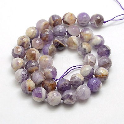 Natural Gemstone Amethyst Round Beads Strands X-G-O021-12mm-13-1