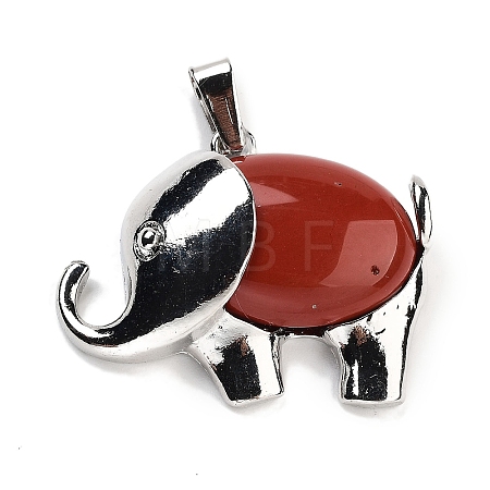 Natural Red Jasper Pendants G-G112-01P-07-1