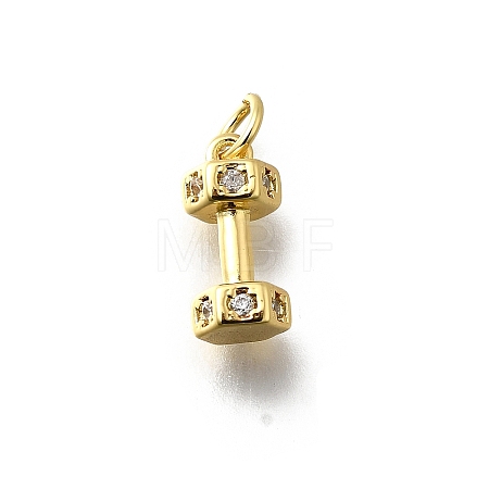 Brass Micro Pave Cubic Zirconia Charms KK-P295-19G-1